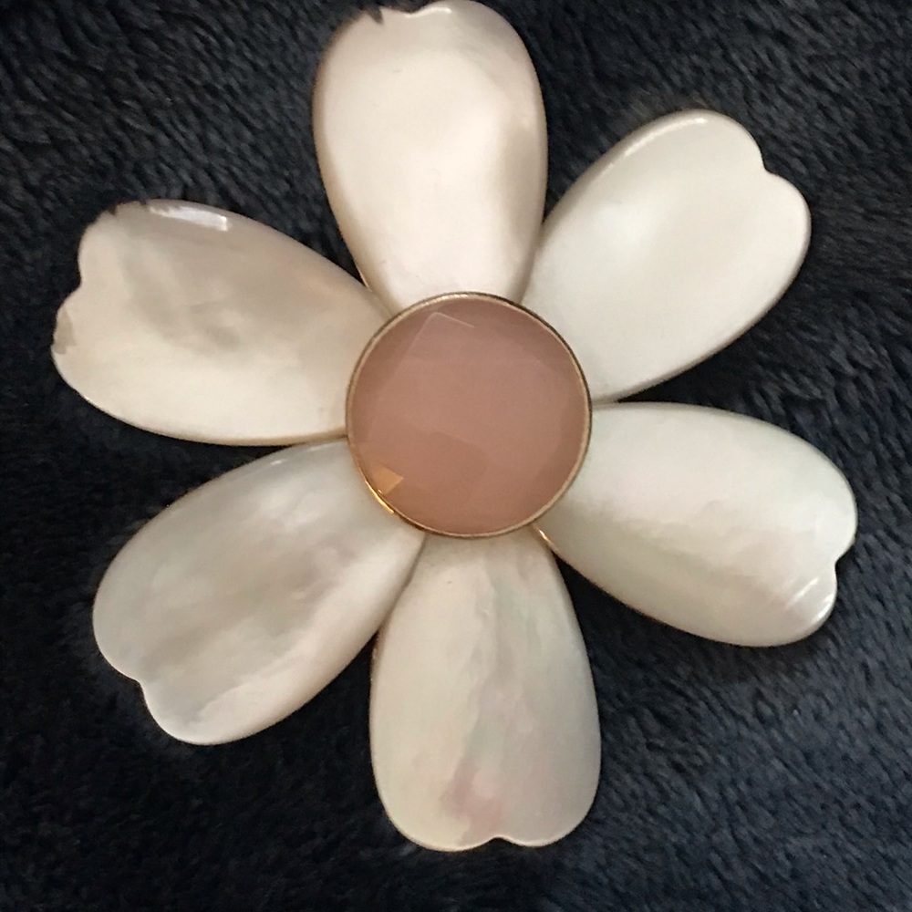 Georgia pin for hat or jacket